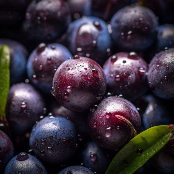 brasil-da-fruta