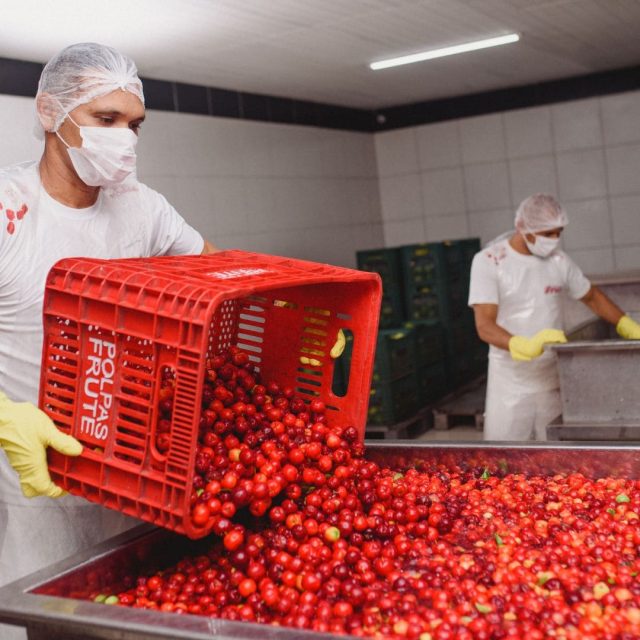 polpas-de-frutas-portugal-8